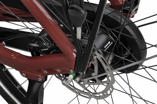 BATAVUS Altura E-Go PT Power Pro Lageinstap Mahonierood 56cm 2025