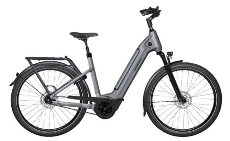 Velo de Ville SEB 890 PRO Dames Stone Basalt mat 48cm 2026